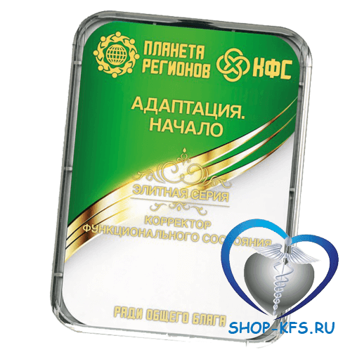 КФС Адаптация. Начало