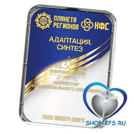 КФС Адаптация. Синтез
